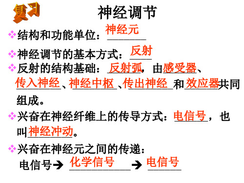 2.3 神经调节和体液调节的关系