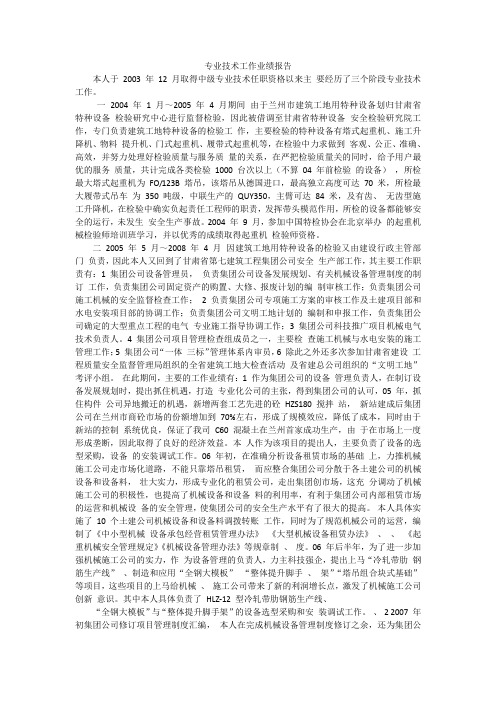 专业技术工作业绩报告