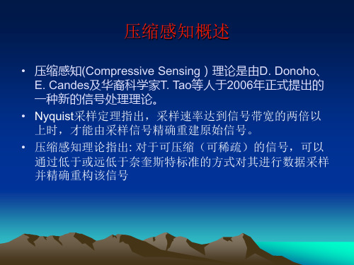 压缩感知 TV-ART图像重构