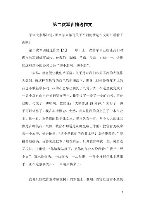 第二次军训精选作文