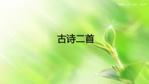 三年级下册语文课件 - 古诗二首 村居 绝句  北师大版2016(18张PPT)