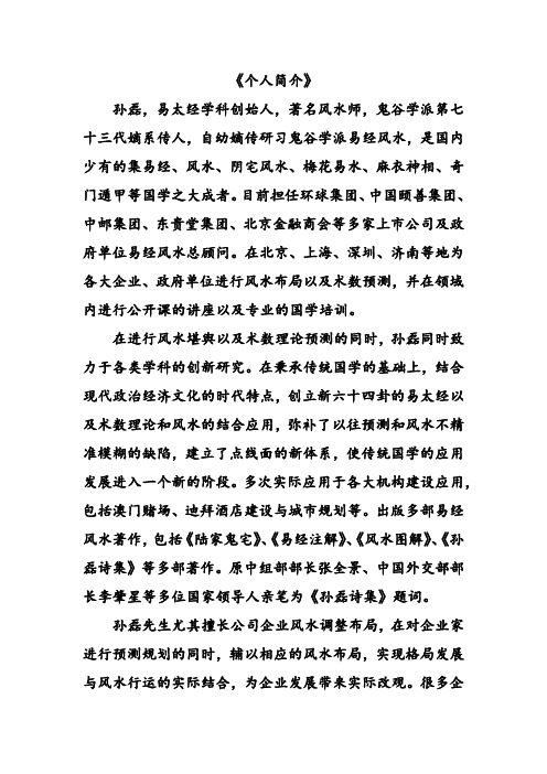 孙磊个人简介