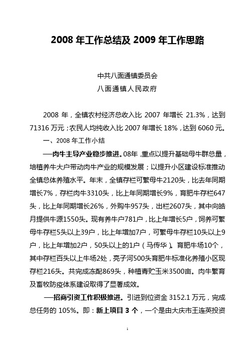 2008年工作总结及2009年工作思路