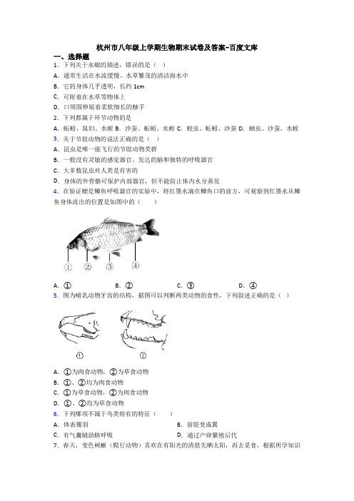 杭州市八年级上学期生物期末试卷及答案-百度文库