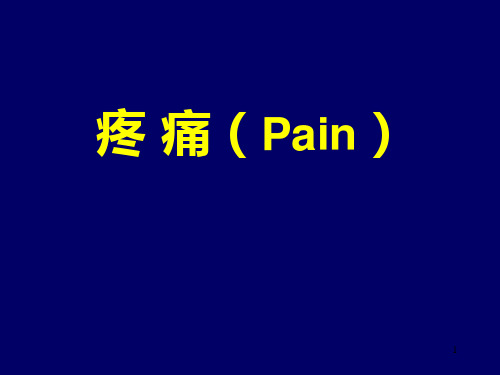 疼痛(Pain)PPT课件
