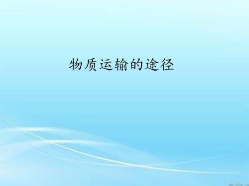 鲁科版七年级上册生物课件 4.3 物质运输的途径