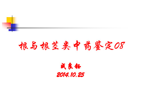 根及根茎类中药08