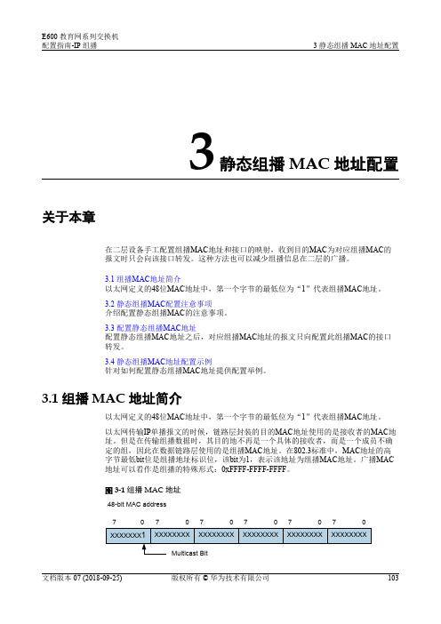 01-03 静态组播MAC地址配置