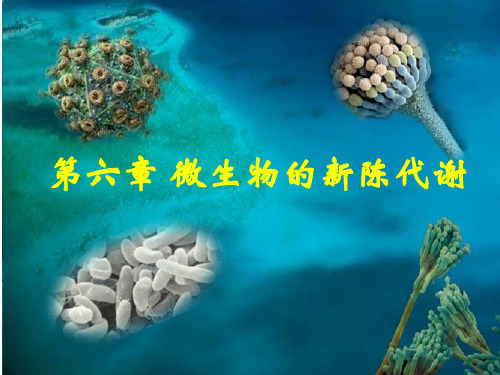 第五章微生物的新陈代谢_微生物学