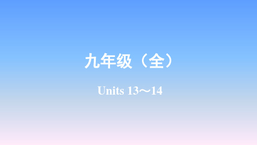 2019年陕西中考英语复习-九年级(全)Unis13-14课件