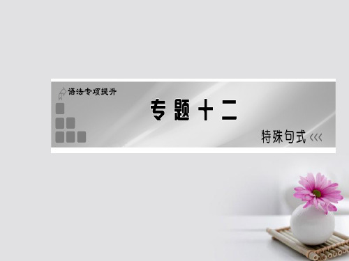 高考英语一轮复习 语法专项提升专题十二 特殊句式课件 新人教版