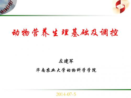 动物营养生理基础及调控