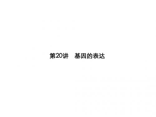 第20讲  基因的表达