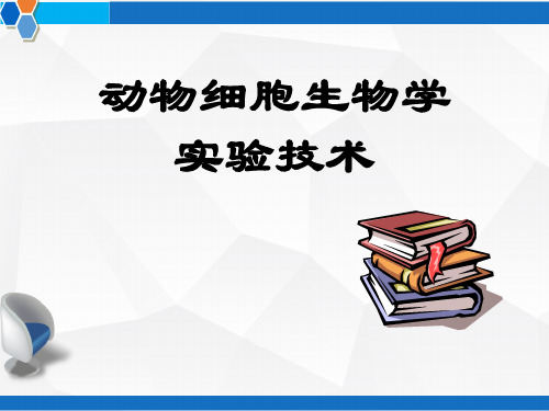 细胞生物学实验技术 PPT