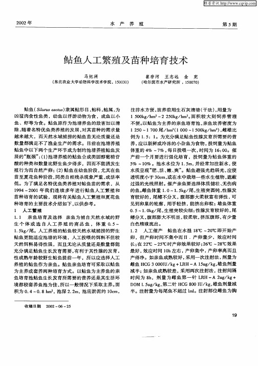 鲇鱼人工繁殖及苗种培育技术