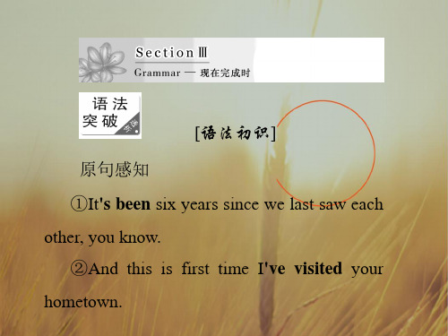 2017-2018学年高中英语外研版必修1课件：Unit 4 Section 3 精品