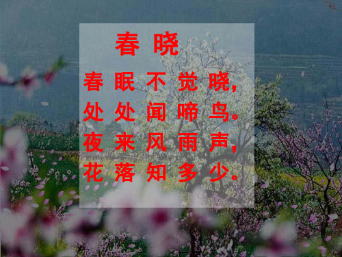 小学人教部编版一年级下册语文园地二：展示台+日积月累-【省一等奖】_-优质课件