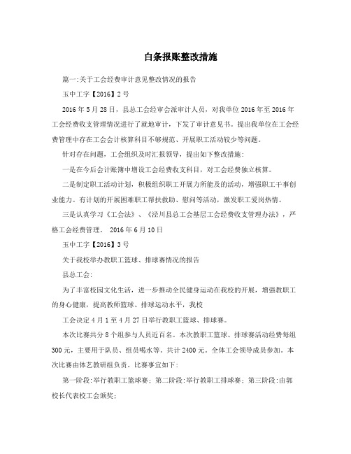 白条报账整改措施