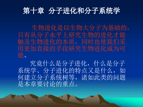 第十章 分子进化和分子系统学.