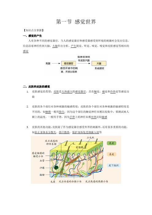 2.1 感觉世界(解析版)——2020-2021学年科学七年级下册讲练测(浙教版)