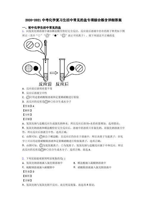 2020-2021中考化学复习生活中常见的盐专项综合练含详细答案