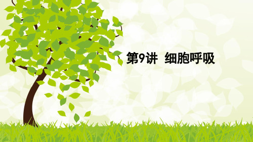 高三生物一轮复习精品课件5：第9讲 细胞呼吸