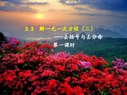 33_解一元一次方程二——去括号 ppt课件