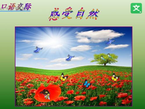 人教课标版小学六年级语文上册  口语交际一   公开课课件