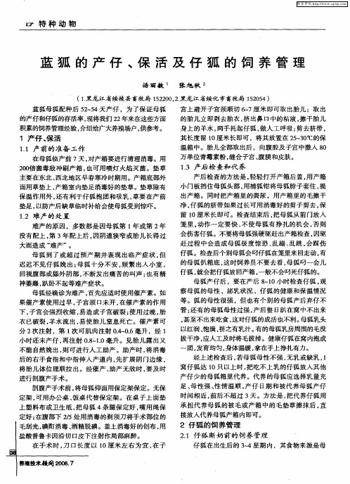 蓝狐的产仔、保活及仔狐的饲养管理