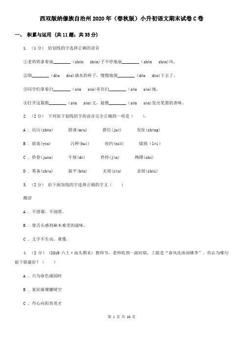 西双版纳傣族自治州2020年(春秋版)小升初语文期末试卷C卷(新版)