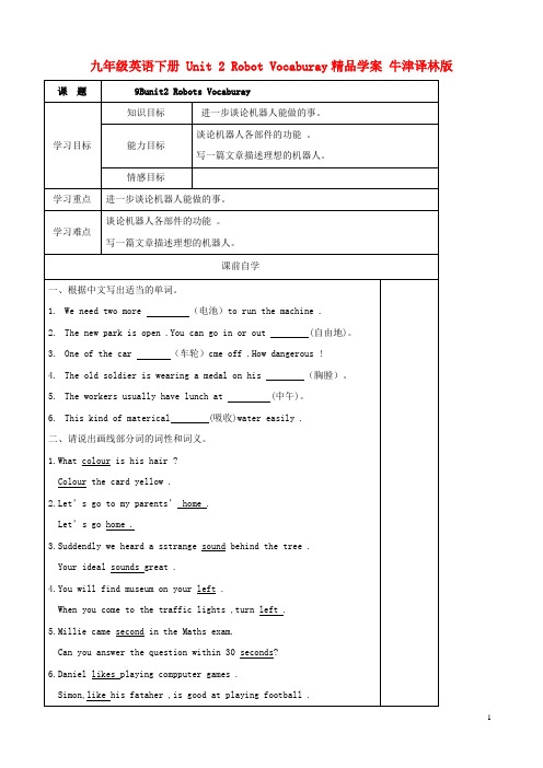 九年级英语下册 Unit 2 Robot Vocaburay精品学案 牛津译林版
