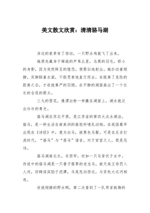 美文散文欣赏：清清骆马湖