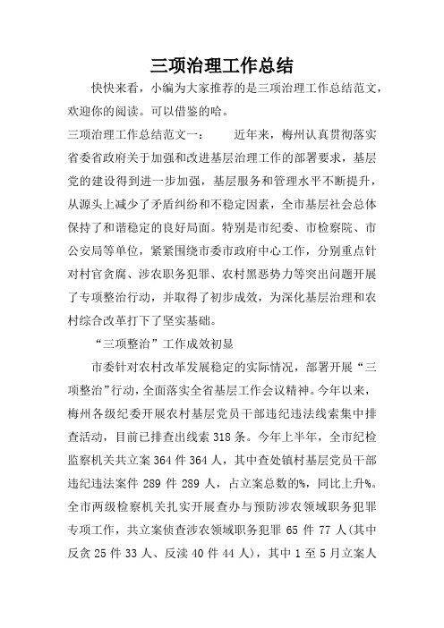 三项治理工作总结_1
