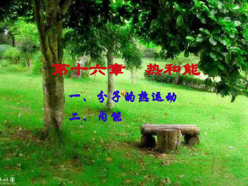 最新初中物理课件：热和能