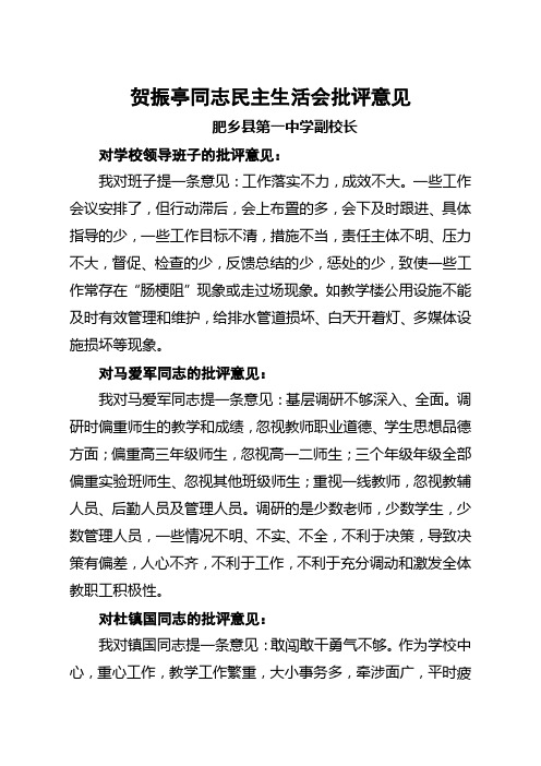 贺校长对领导班子及班子成员的批评意见