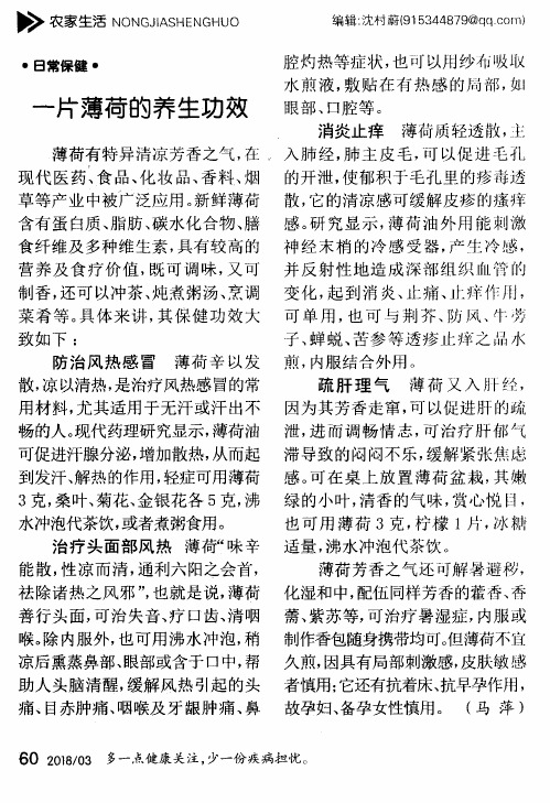 一片薄荷的养生功效