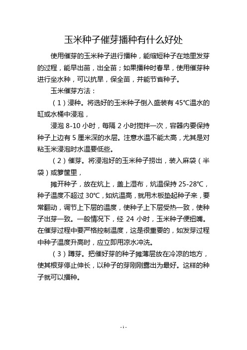 玉米种子催芽播种有什么好处