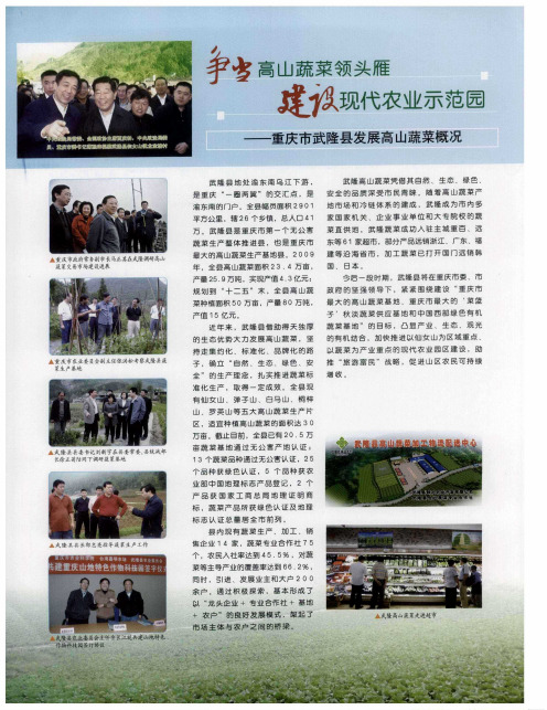 争当高山蔬菜领头雁 建设现代农业示范园——重庆市武隆县发展高山蔬菜概况
