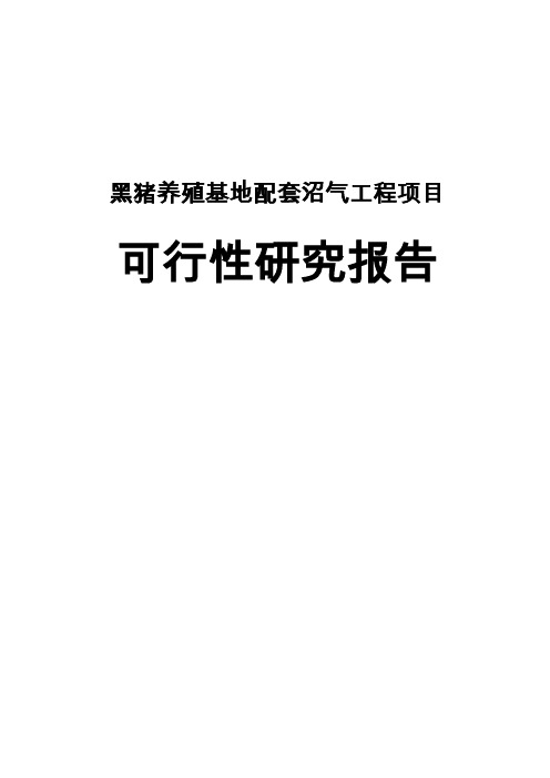黑猪养殖基地配套沼气工程项目可行性研究报告