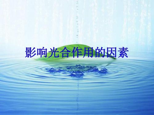 高一生物影响光合作用的因素