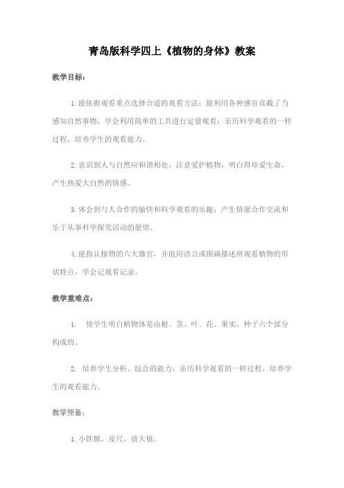 青岛版科学四上《植物的身体》教案