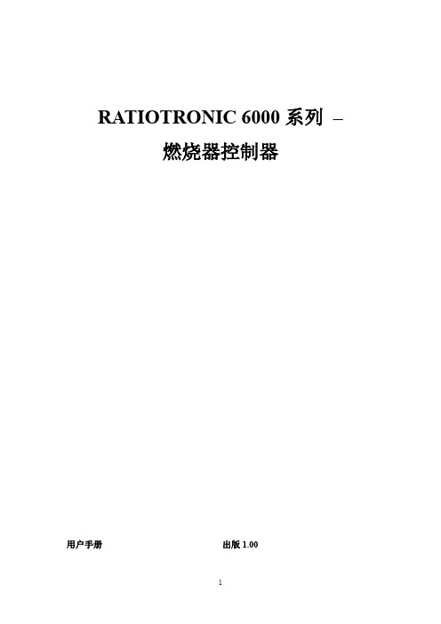 3.R6000英腾燃烧器中文用户手册