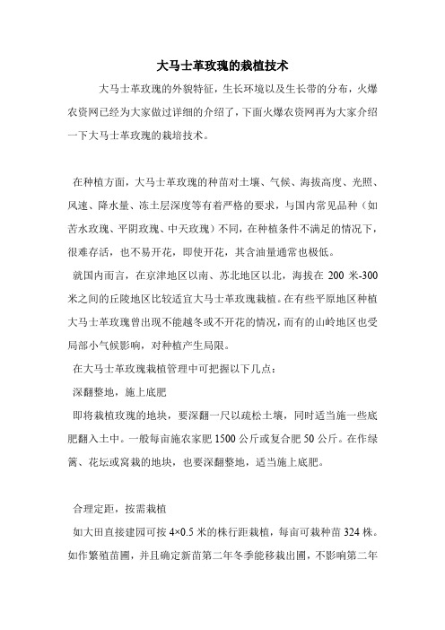 大马士革玫瑰的栽植技术.doc