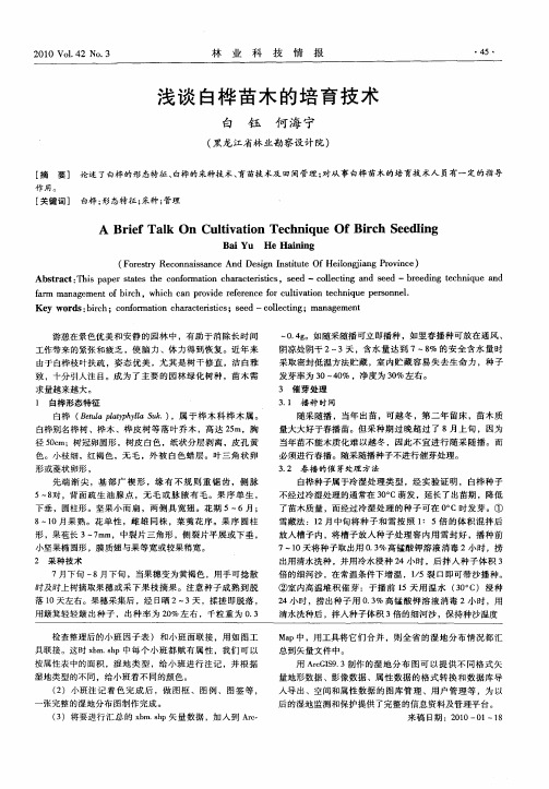 浅谈白桦苗木的培育技术