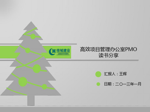 高效项目管理运作办公室(PMO)