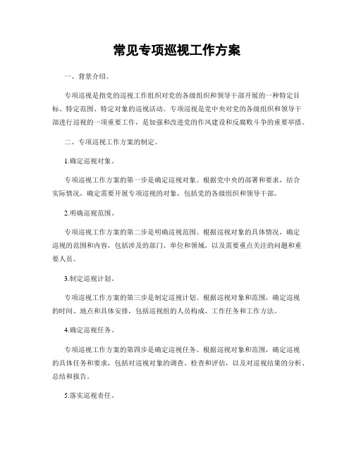 常见专项巡视工作方案