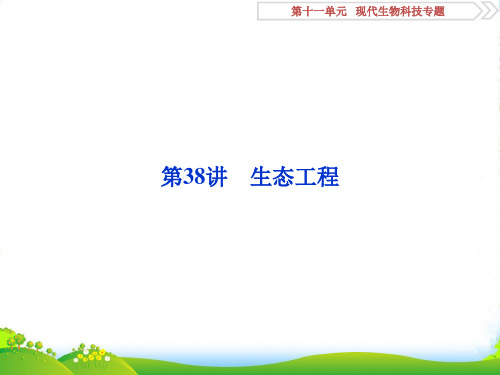 优化方案高考生物一轮复习课件：第38讲 生态工程