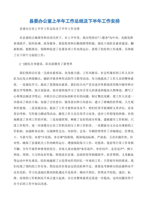 (半年总结)县委办公室上半年工作总结及下半年工作安排-2篇