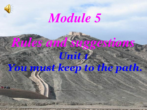 最新外研版九年级下Module5 Unit1课件(共12张PPT)