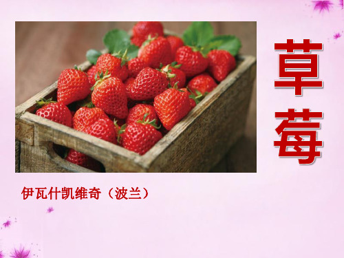 《草莓》PPT课件